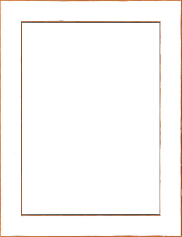 Cornice Vit Far Frames colore bianco