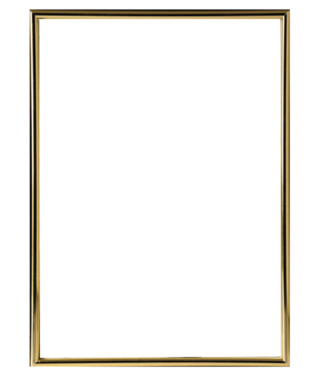 Cornice Hooker Far Frames colore oro