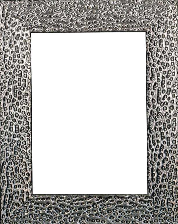 Cornice Lacombe far frames color argento